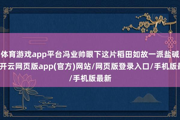 体育游戏app平台冯业帅眼下这片稻田如故一派盐碱地-开云网页版app(官方)网站/网页版登录入口/手机版最新