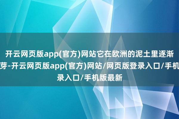 开云网页版app(官方)网站它在欧洲的泥土里逐渐生根发芽-开云网页版app(官方)网站/网页版登录入口/手机版最新